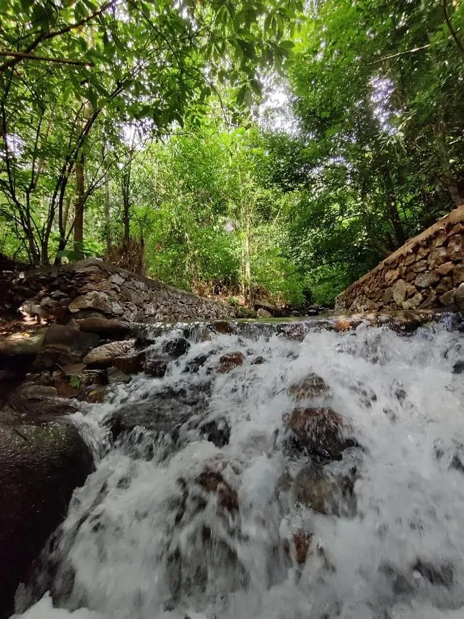 Forest And River Edge Resort Kannur