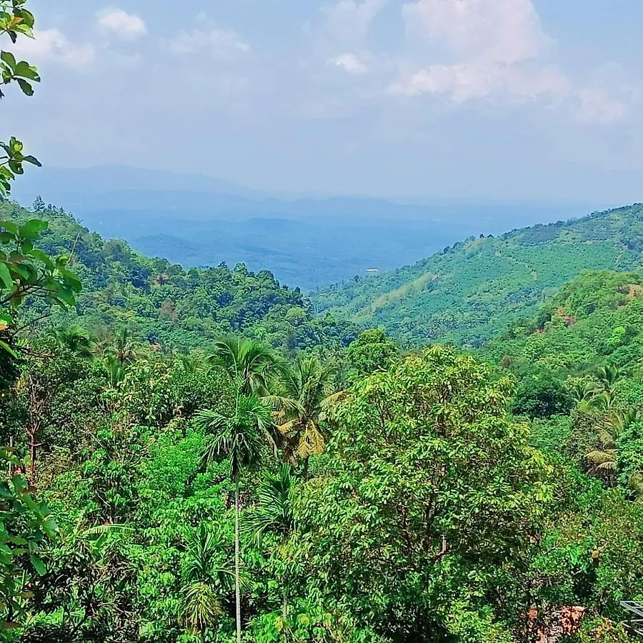 Forest And River Edge Resort Kannur