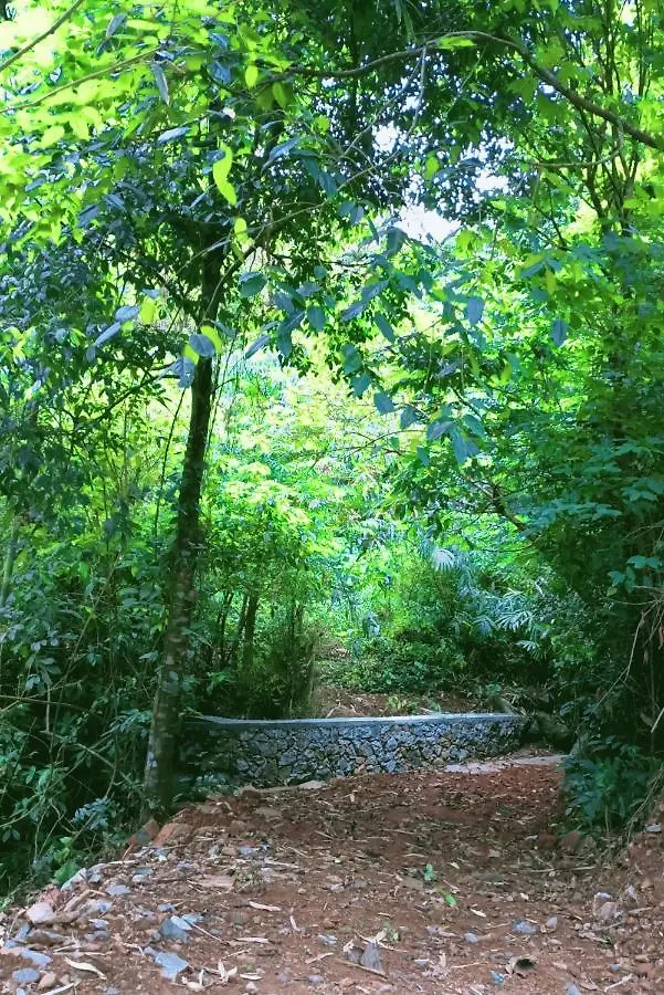 Forest And River Edge Resort Kannur